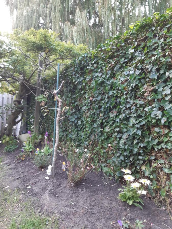 브뤼헤 Our Lily House, Een Gezellig Familiehuis In Rustige Omgeving 빌라 외부 사진