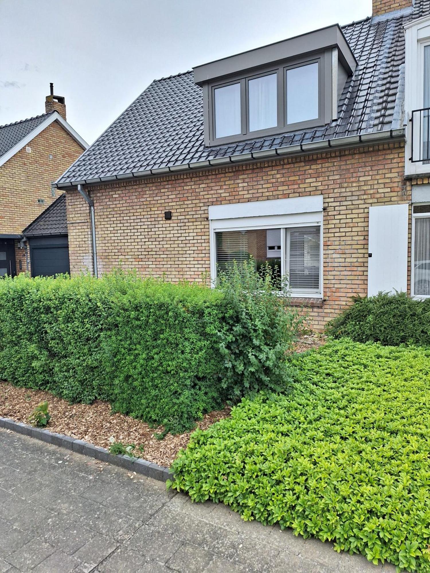 브뤼헤 Our Lily House, Een Gezellig Familiehuis In Rustige Omgeving 빌라 외부 사진